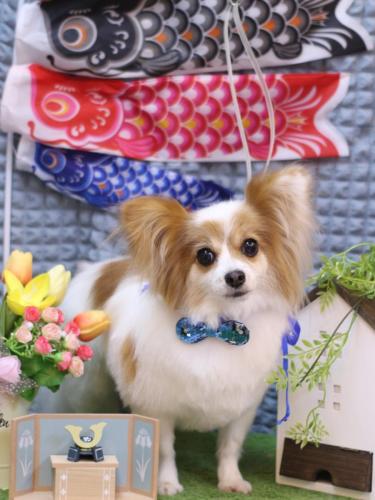 20230519ロゼちゃん